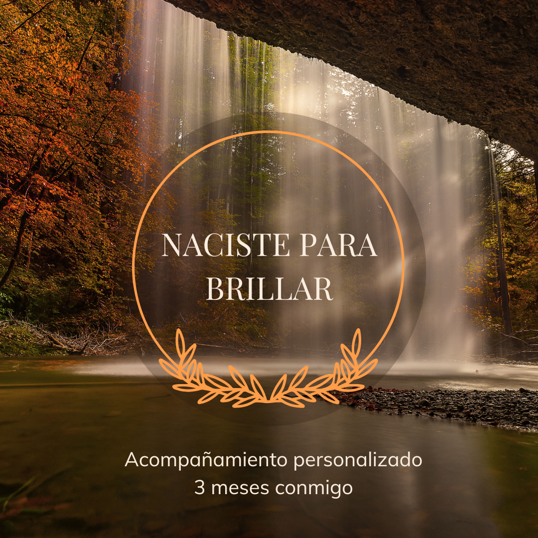 PROGRAMA «NACISTE PARA BRILLAR»